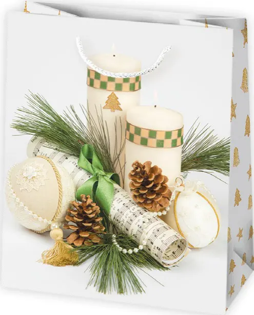 Bolsas de regalo BO-0658