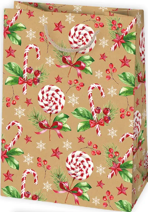 Bolsas de regalo BO-0660