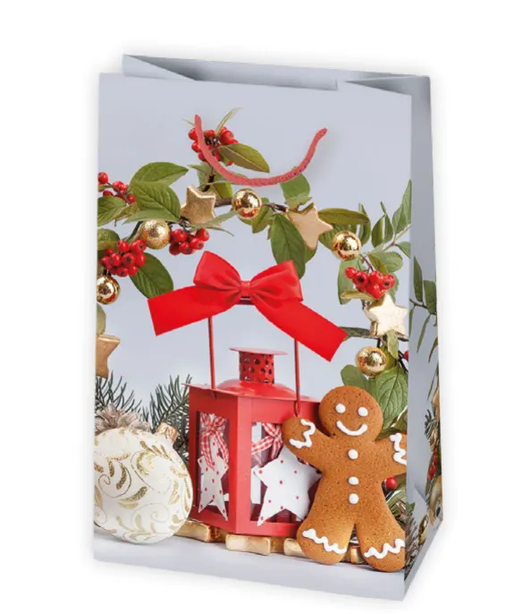 Bolsas de regalo BO-0601