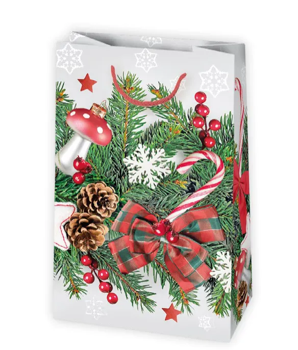 Bolsas de regalo BO-0604