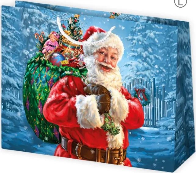 Bolsas de regalo BO-0714