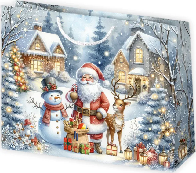 Bolsas de regalo BO-0716