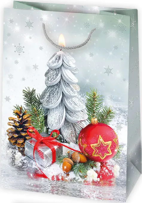 Bolsas de regalo BO-0700