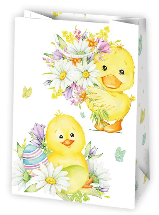 Bolsas de regalo BO-0748