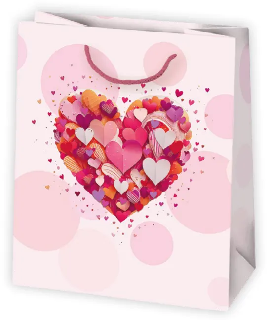 Bolsas de regalo BO-0729