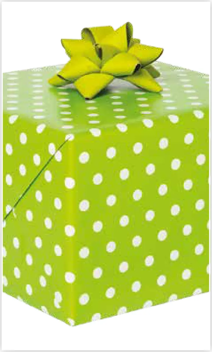 Papel de regalo PA-0029