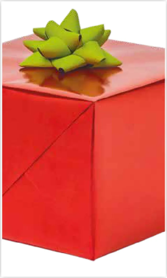 Papel de regalo PA-0008