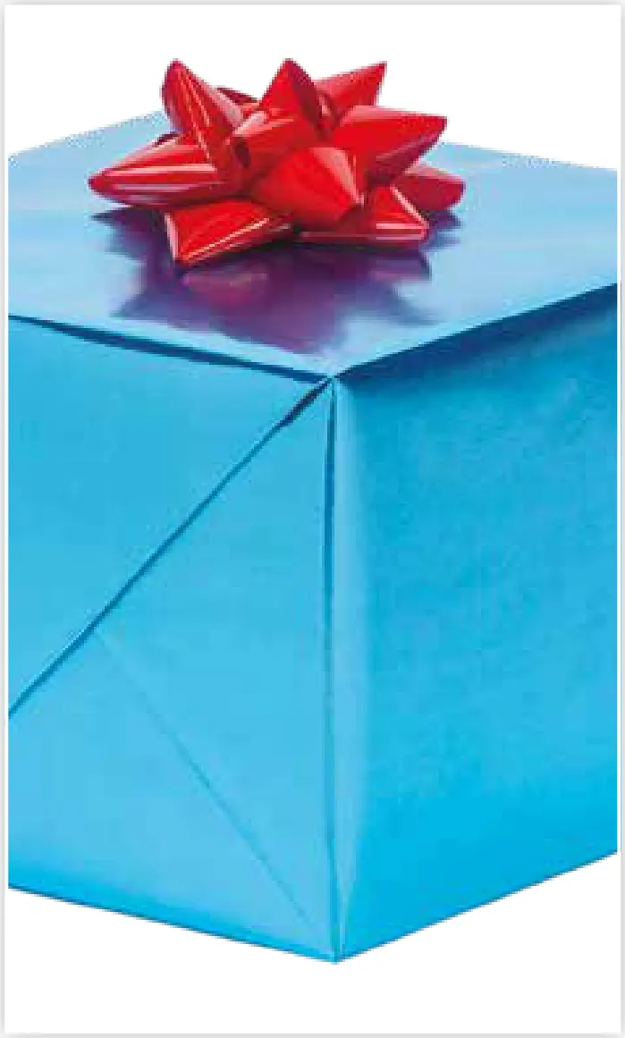 Papel de regalo PA-0010