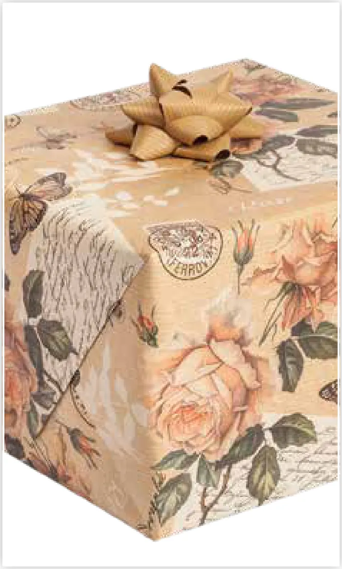 Papel de regalo PA-0046