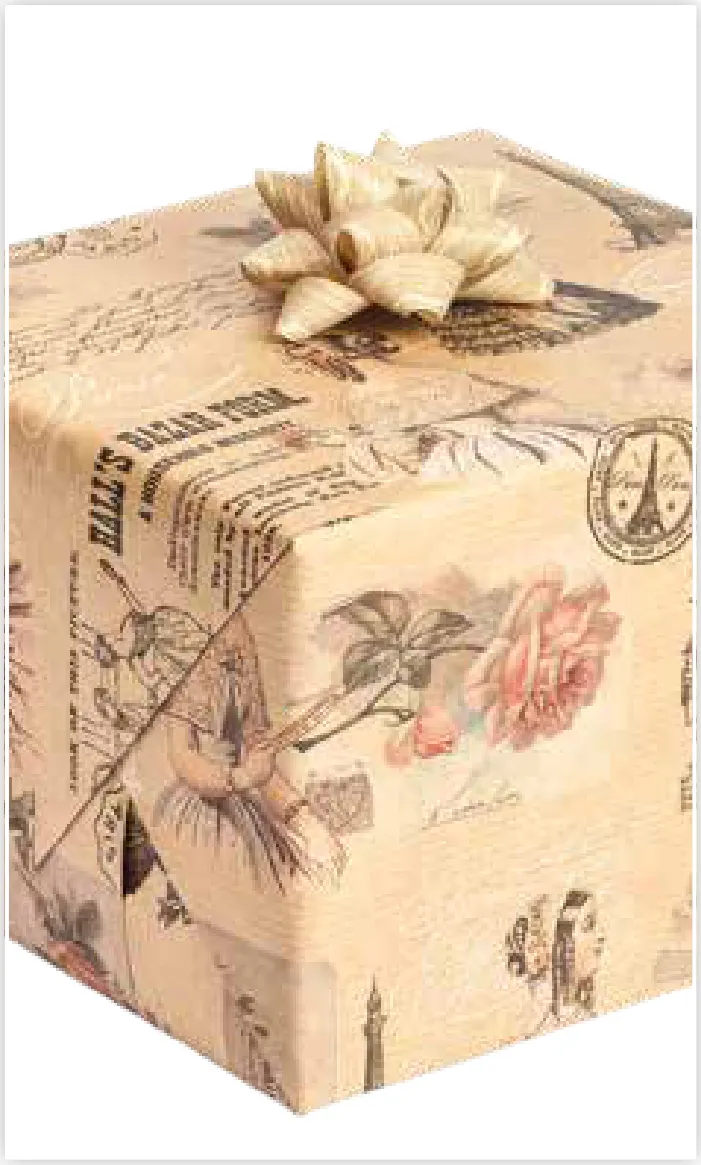 Papel de regalo PA-0047