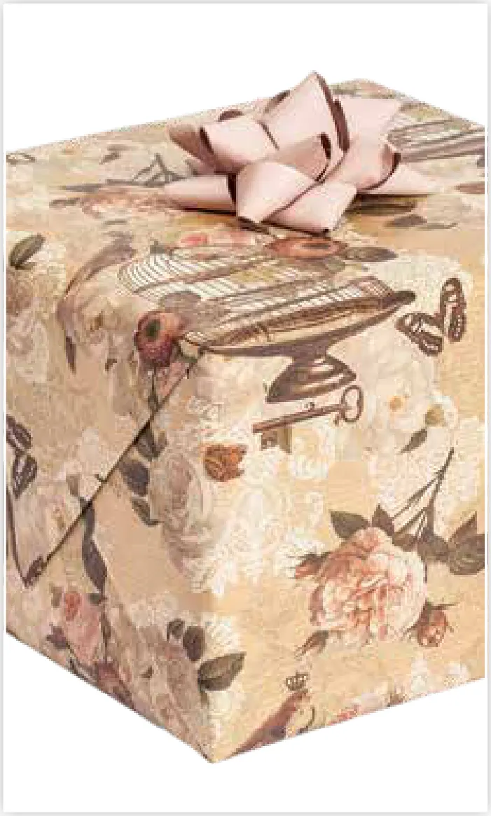 Papel de regalo PA-0048