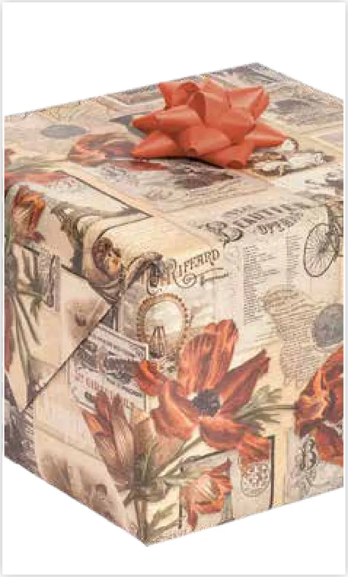 Papel de regalo PA-0050