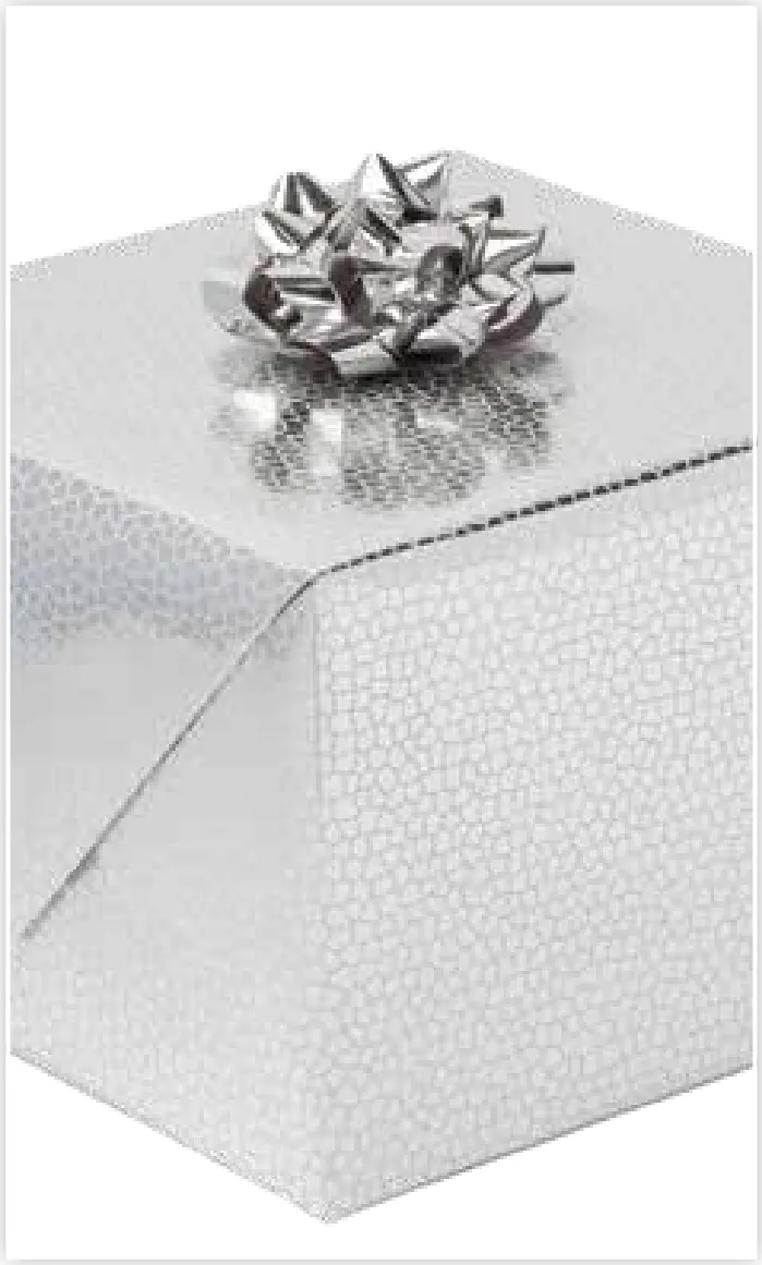 Papel de regalo PA-0020
