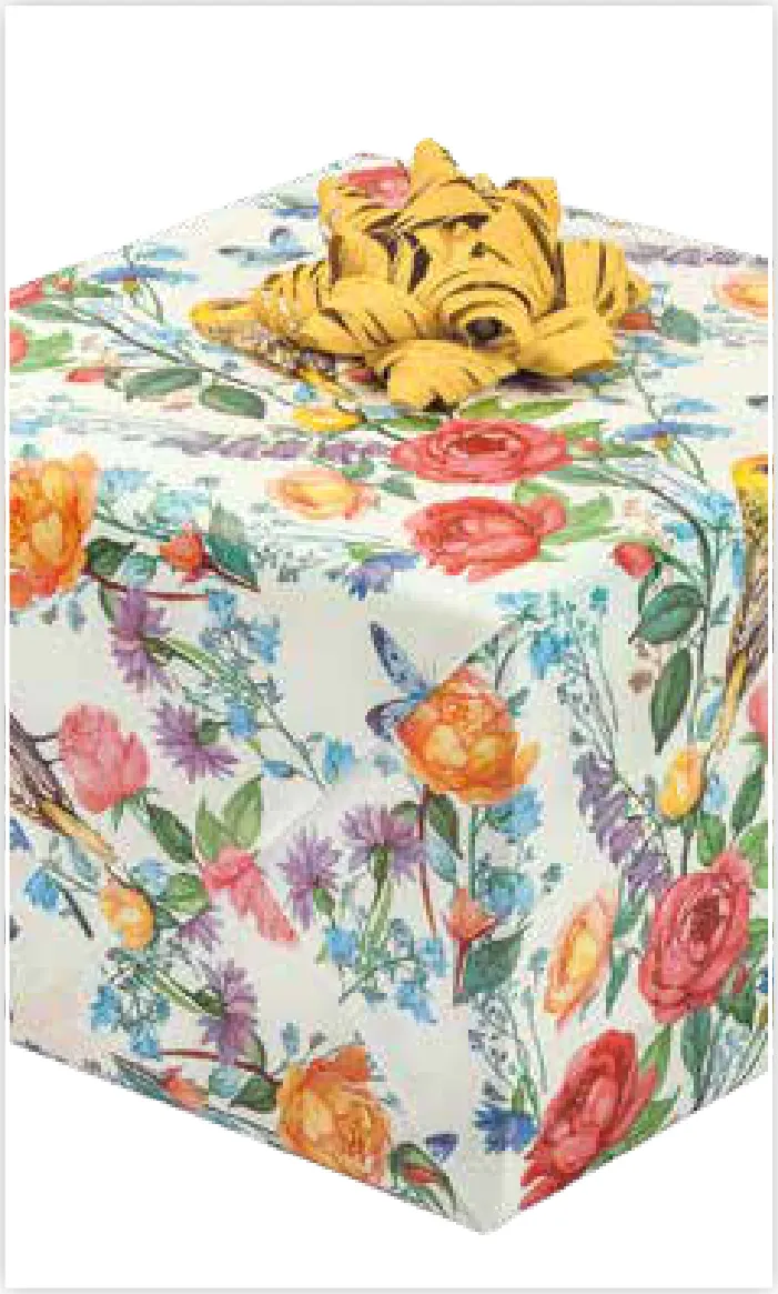 Papel de regalo PA-0053
