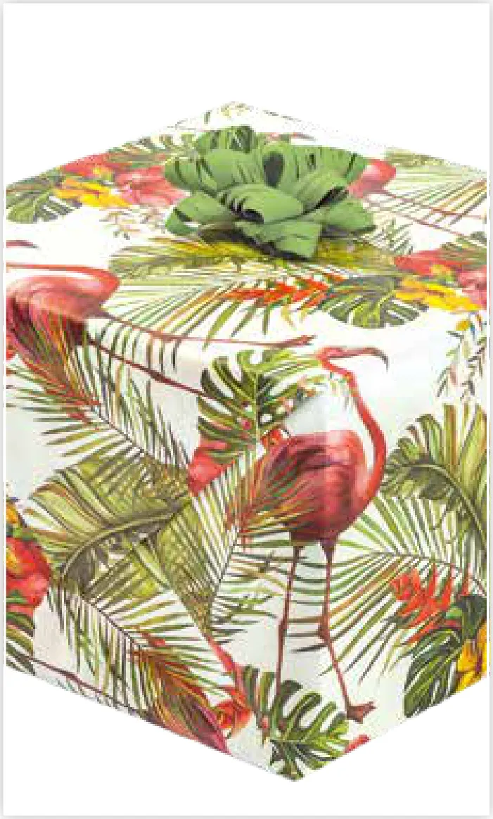 Papel de regalo PA-0054