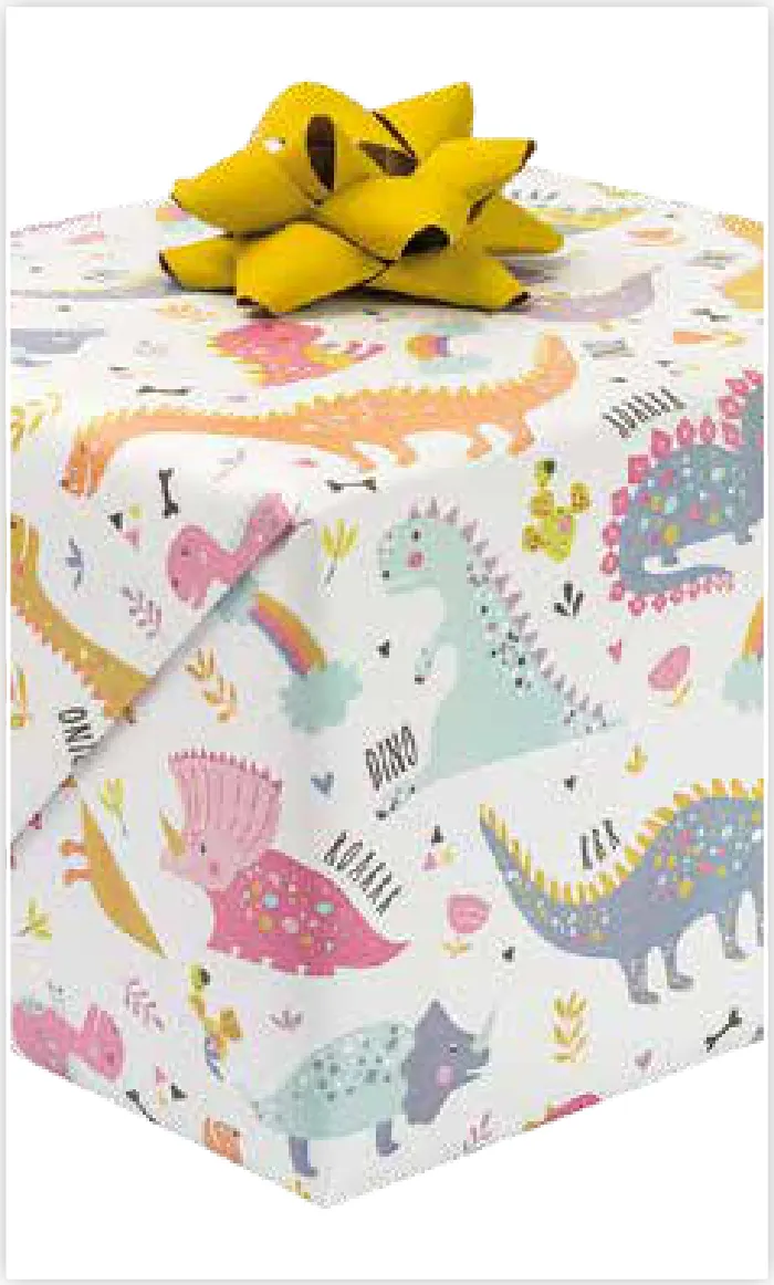 Papel de regalo PA-0031