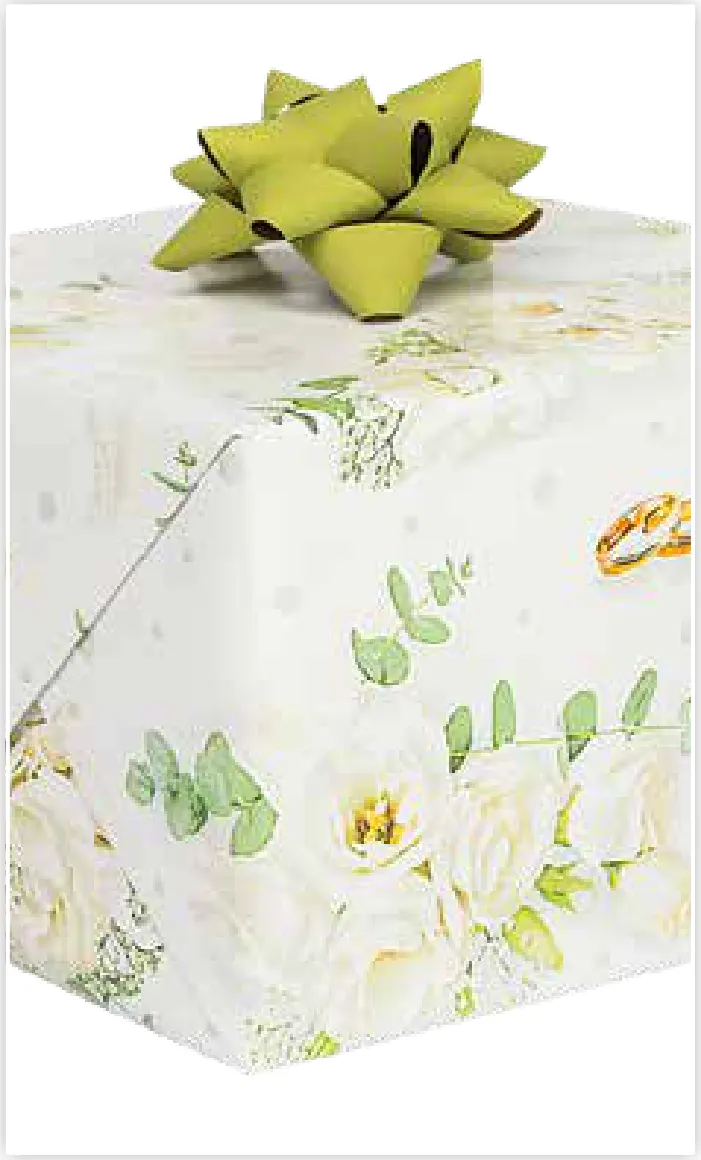 Papel de regalo PA-0056