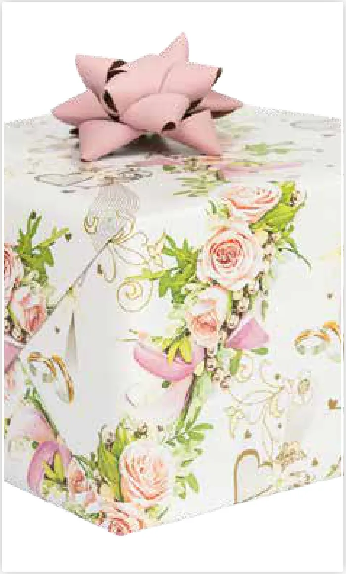 Papel de regalo PA-0058