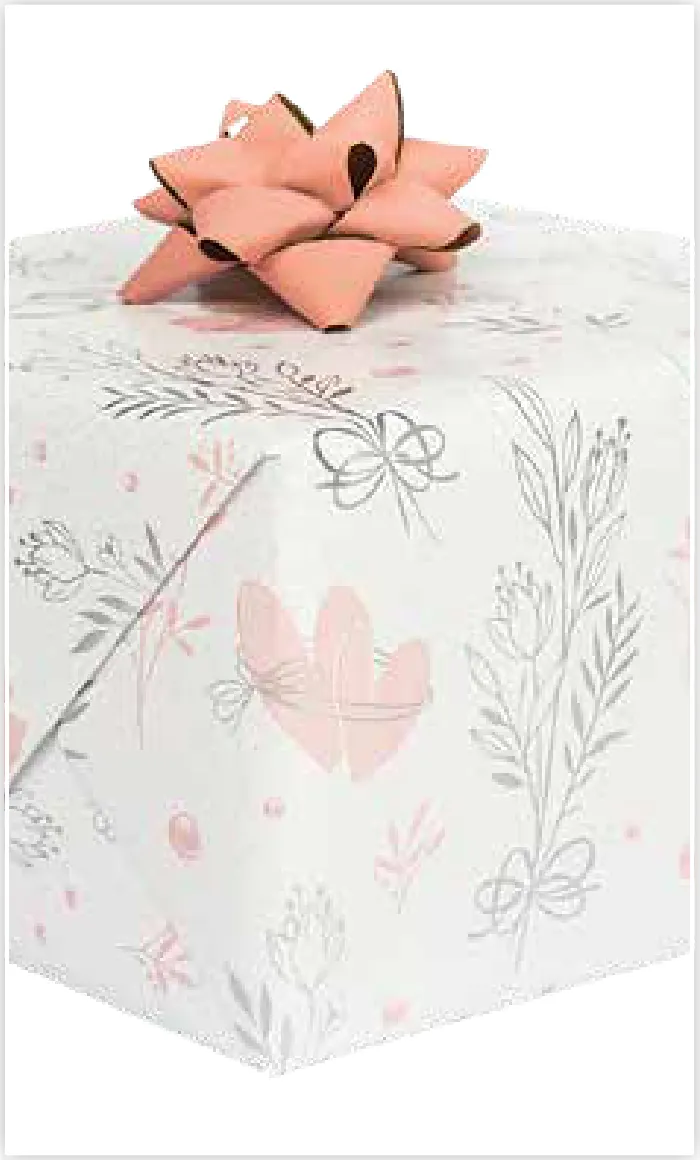 Papel de regalo PA-0060