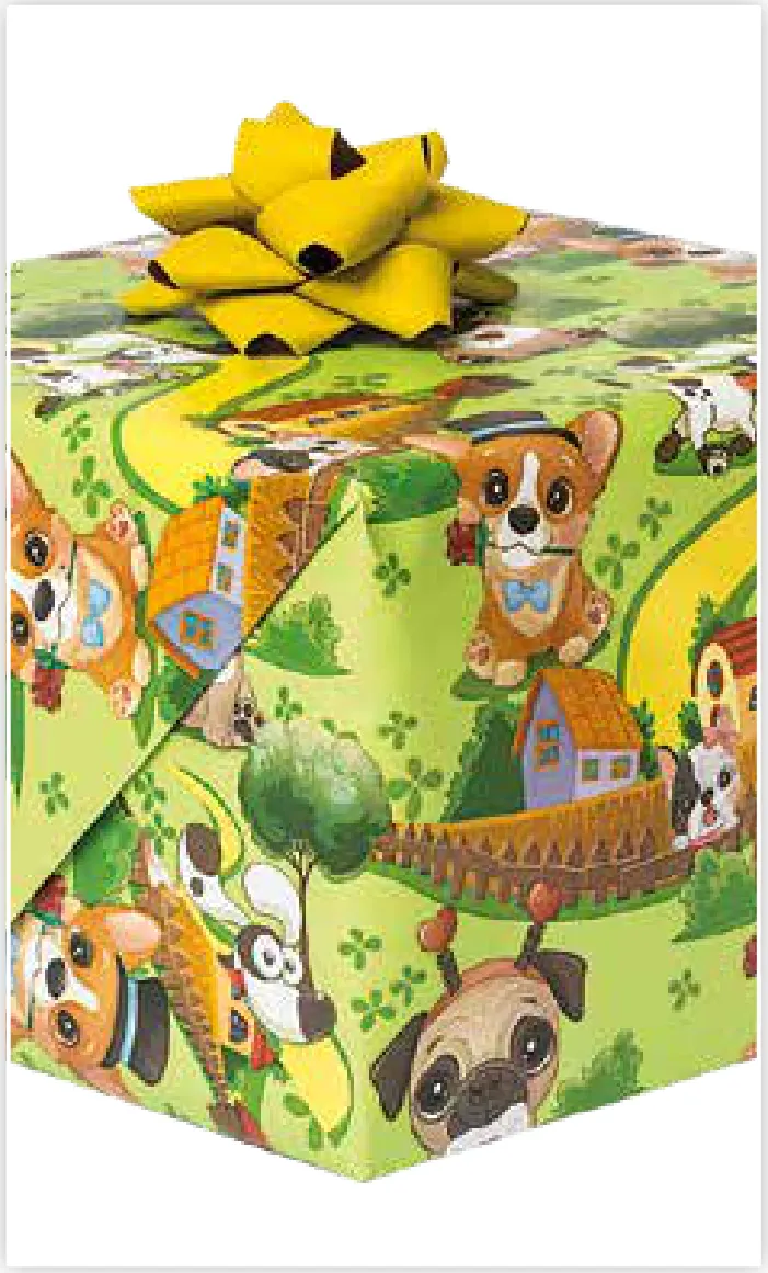 Papel de regalo PA-0038