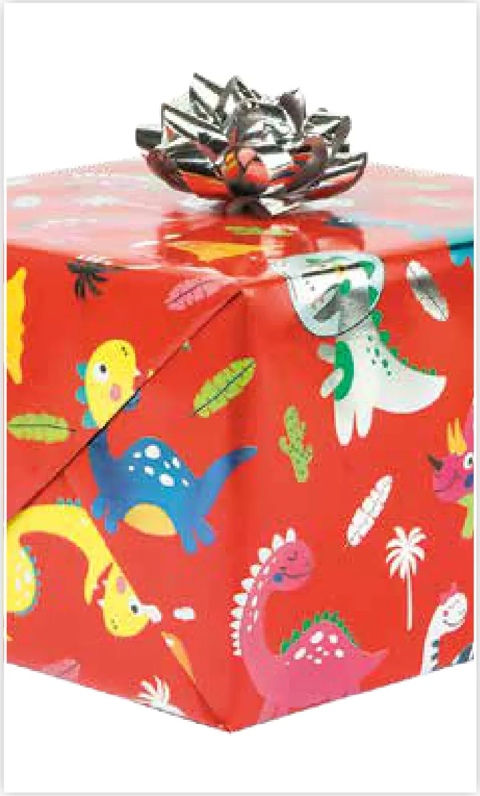 Papel de regalo PA-0022