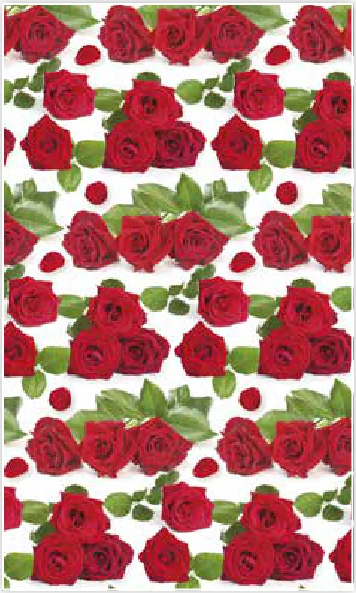 Papel de regalo PA-0042