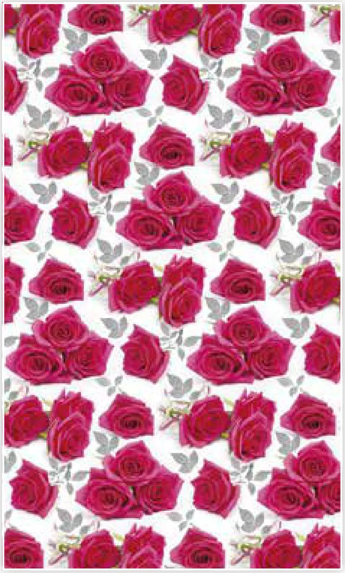Papel de regalo PA-0043