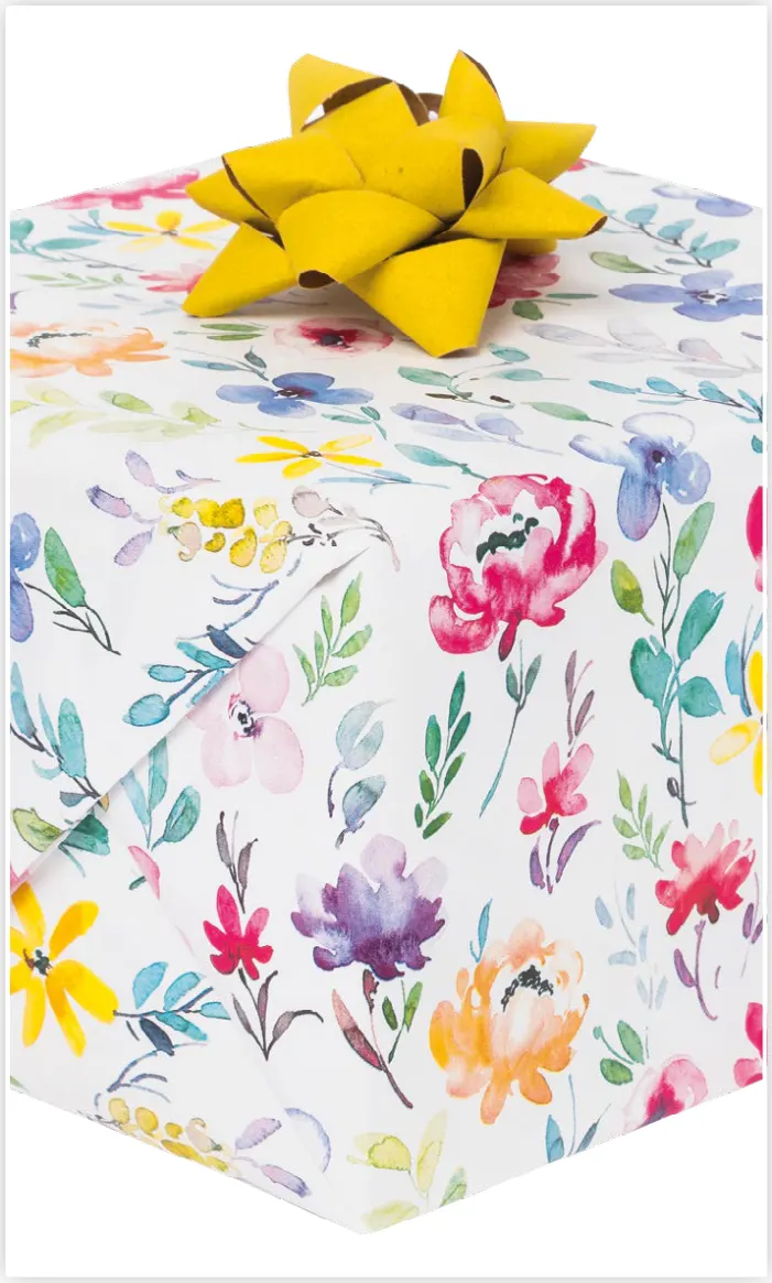 Papel de regalo PA-0075
