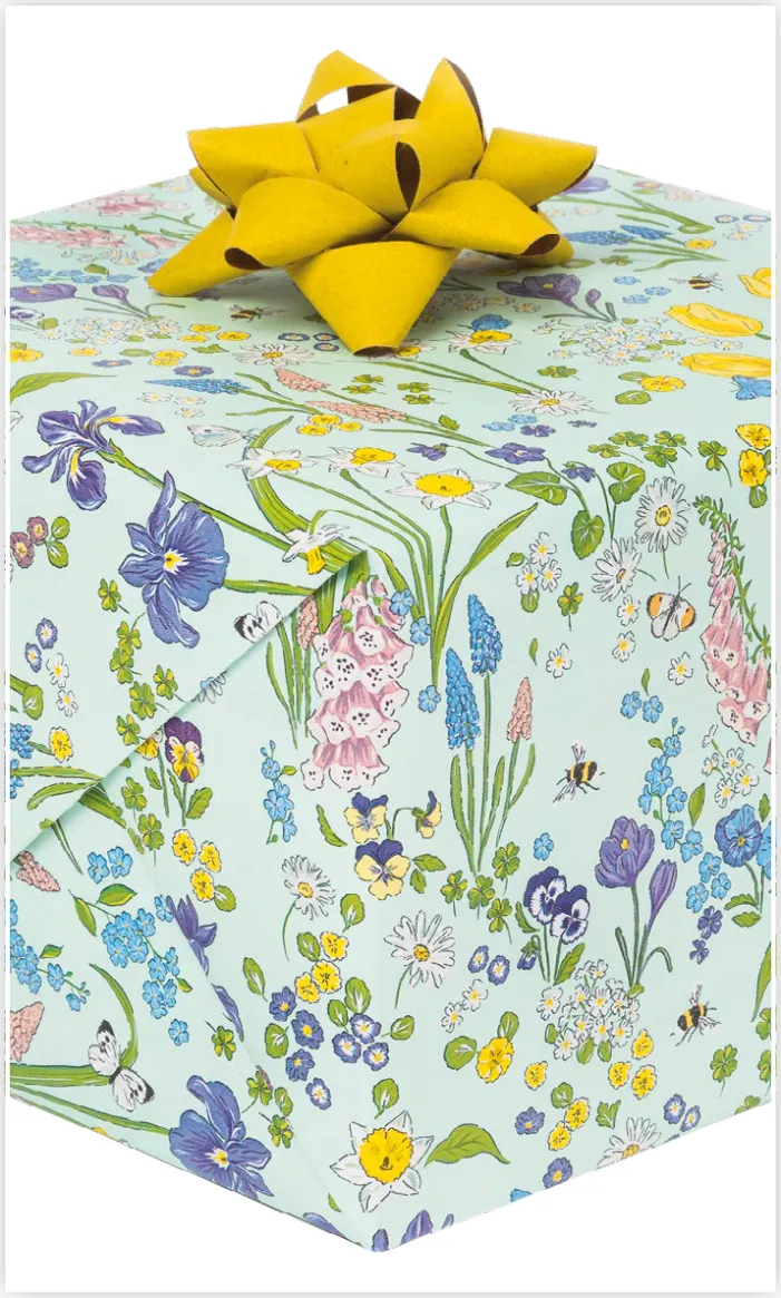 Papel de regalo PA-0076