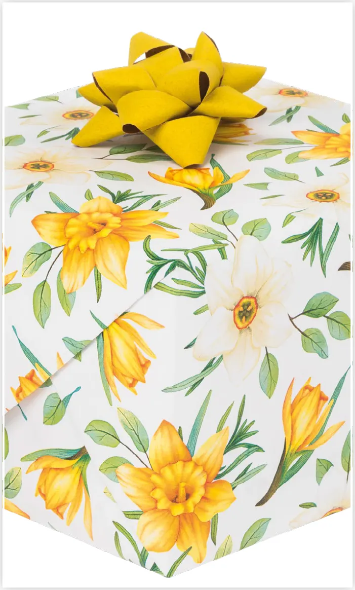Papel de regalo PA-0078