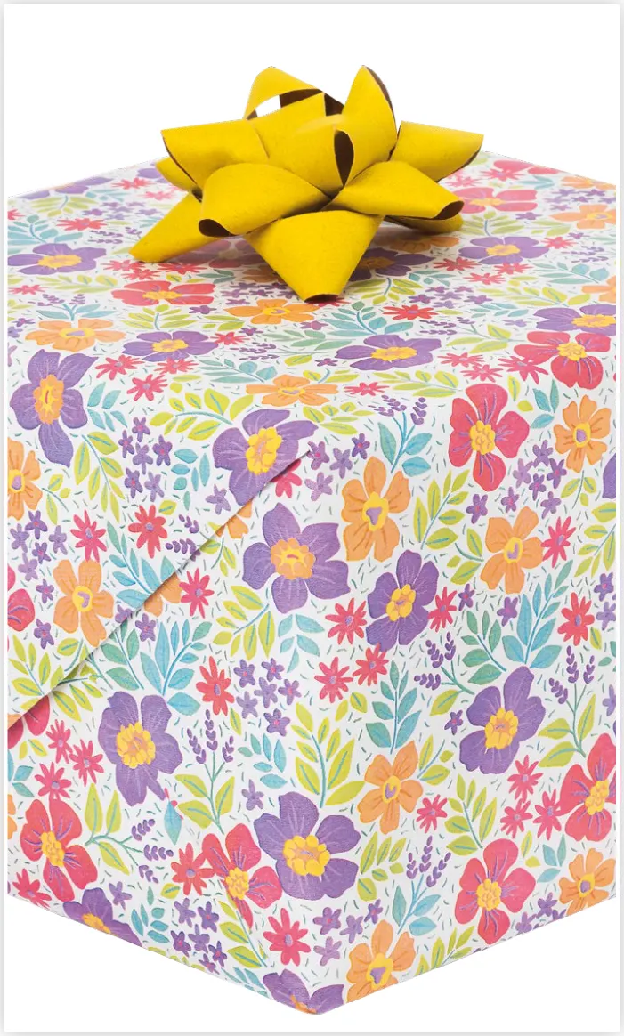 Papel de regalo PA-0079