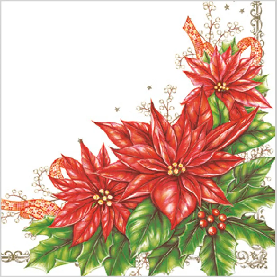 Elegante Flor de Pascua · SD_GW_004301