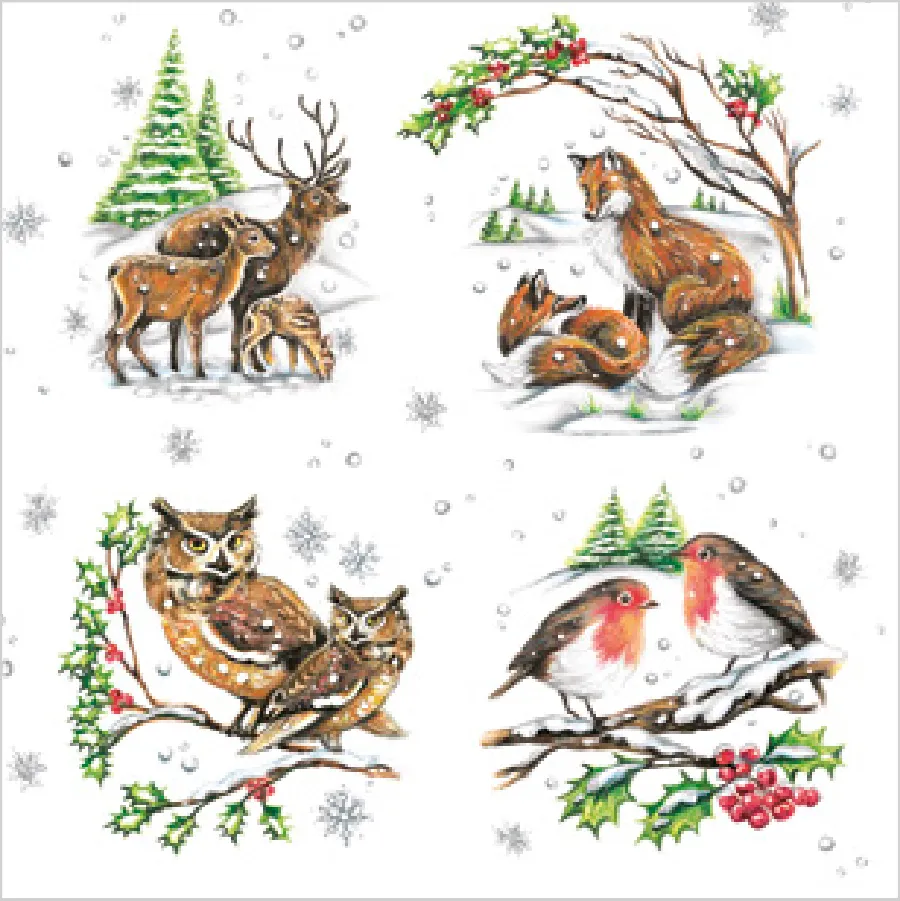 Animales de Invierno · SD_GW_016701