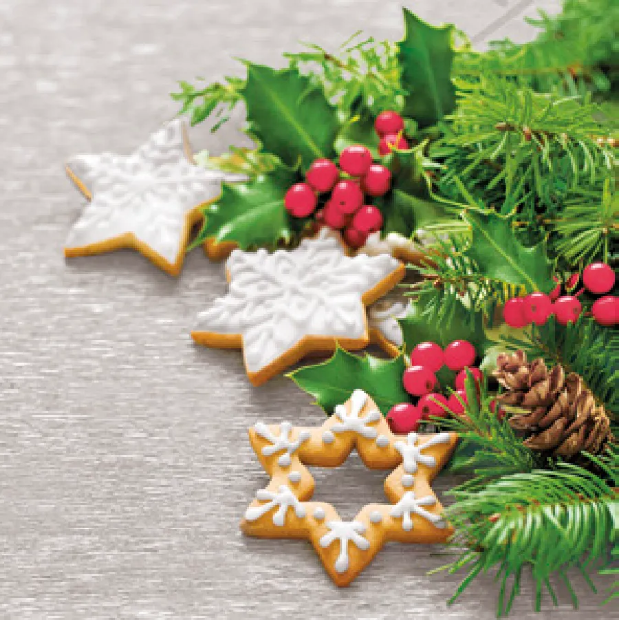 Decoración Invernal con Galletas de Jengibre · SD_GW_021601