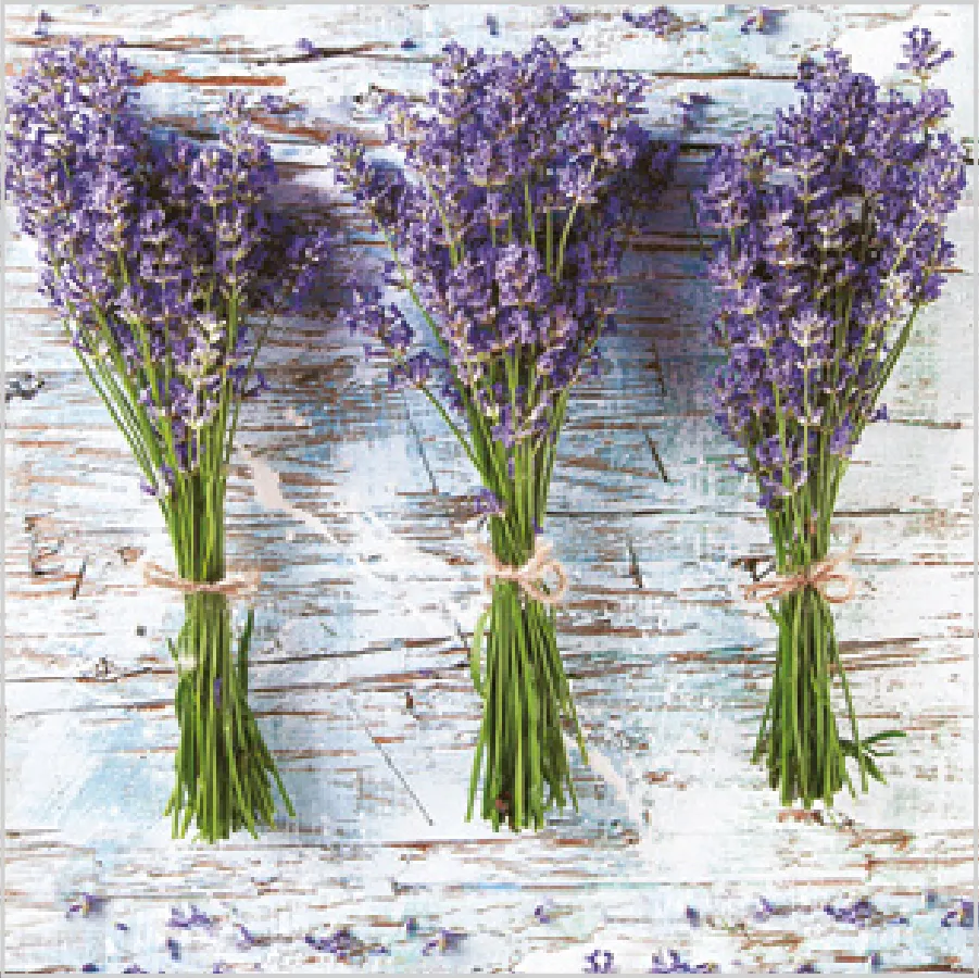 Tres Ramos de Lavanda · SD_OG_015101