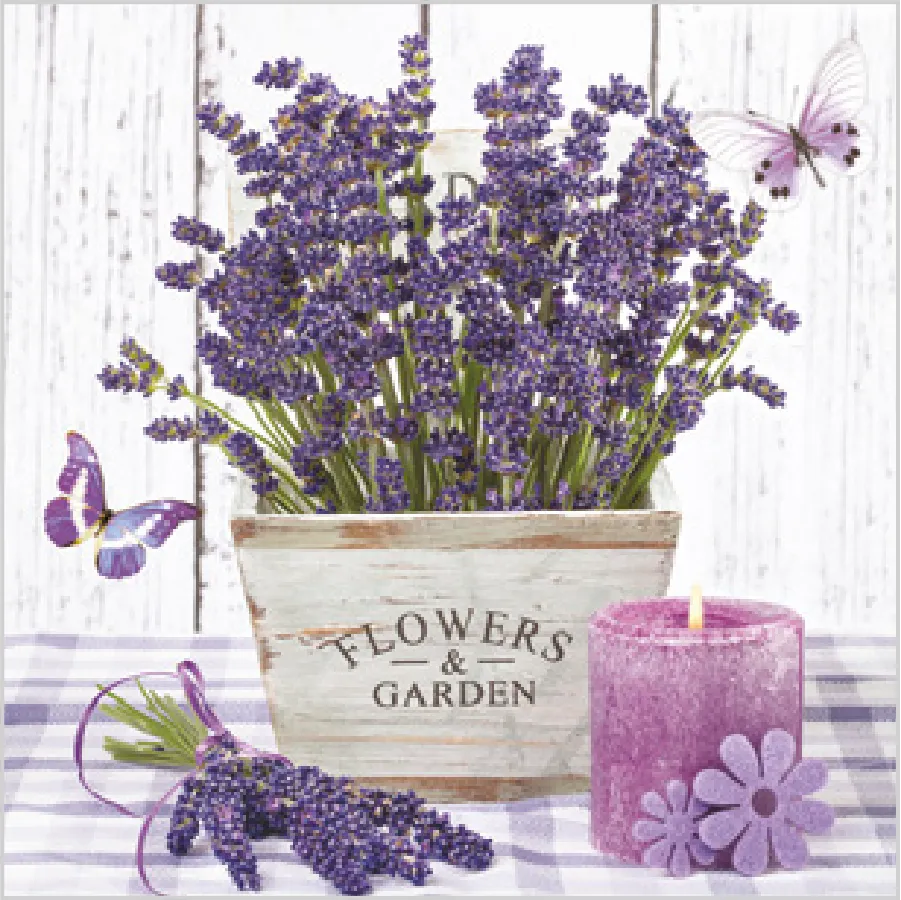 Lavanda en una Maceta de Madera · SD_OG_016501