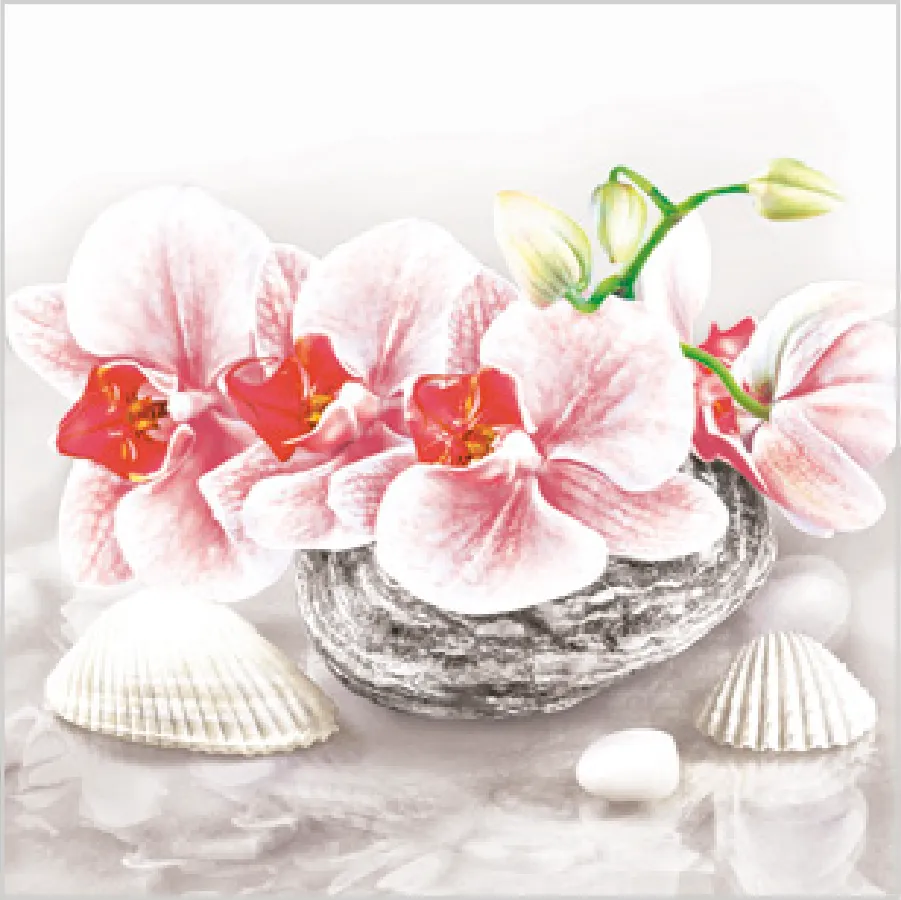 Orquídea sobre Piedra Decorativa con Conchas · SD_OG_039401