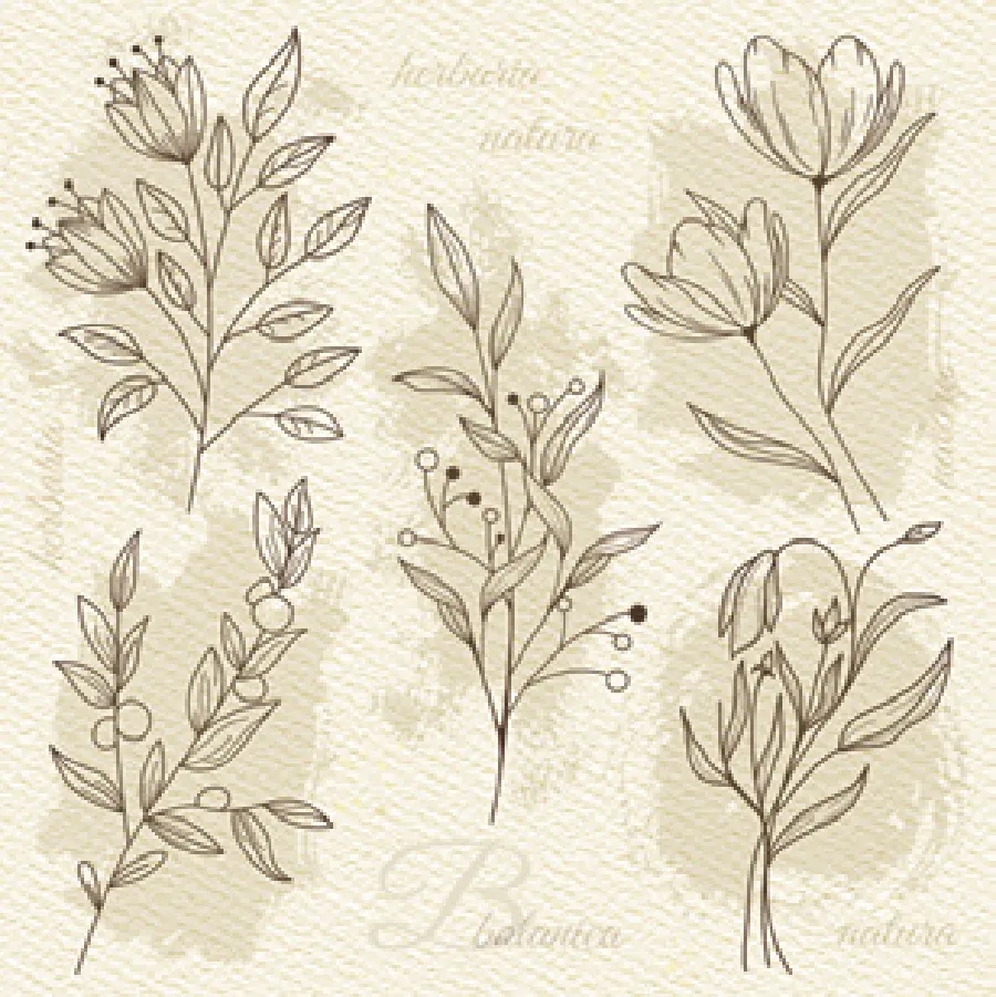 Delicada Ilustración Floral Beige sobre Papel de Acuarela · SD_OG_040001