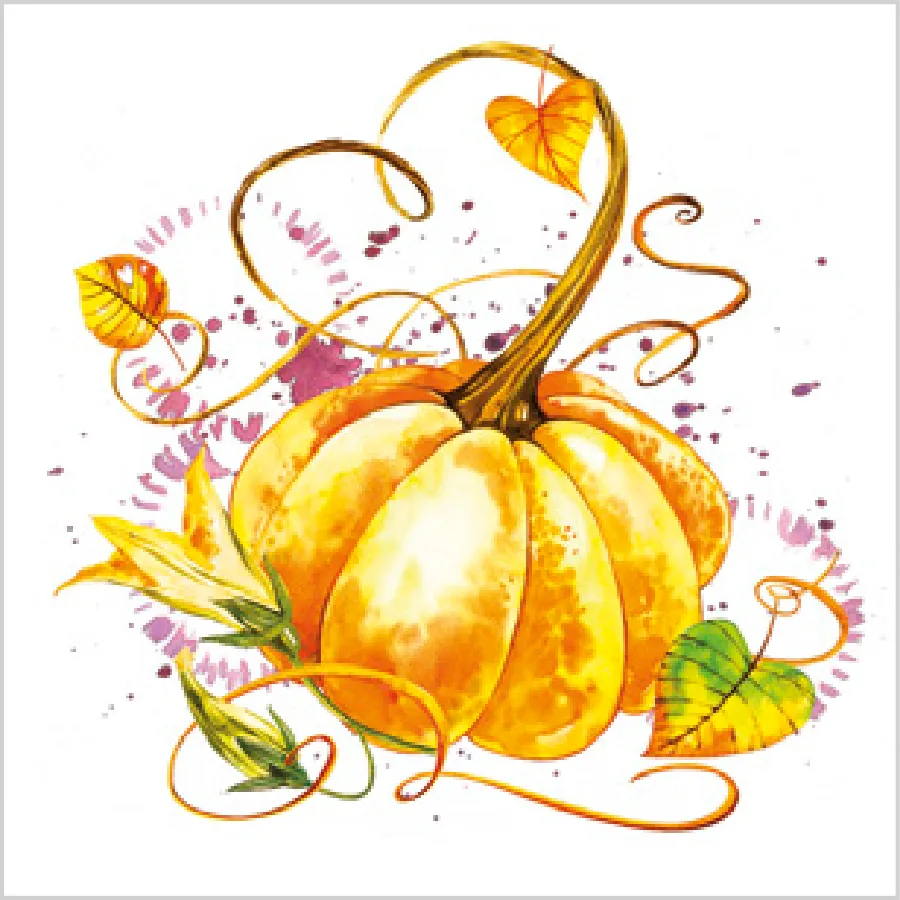 Calabaza Madura · SD_OG_041901