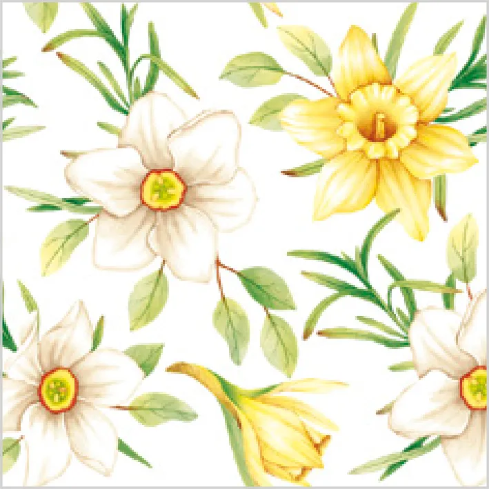 Narcisos en Acuarela · CD_WI_007601