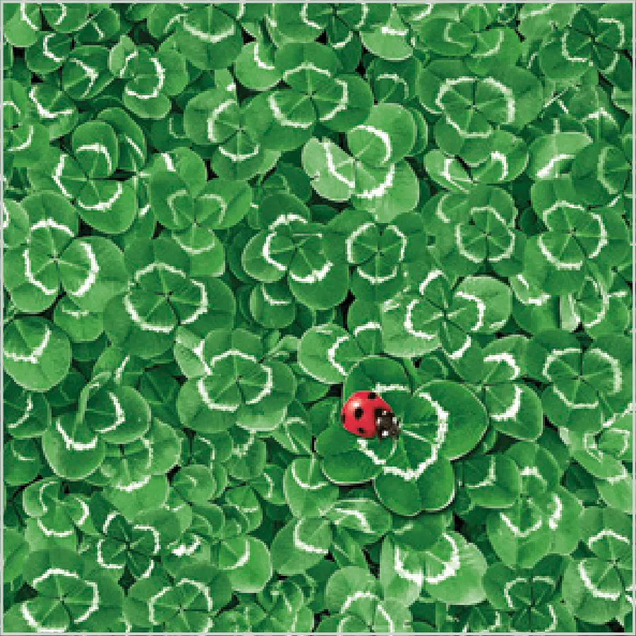 Fondo de Tréboles con Mariquita · SD_OG_034101