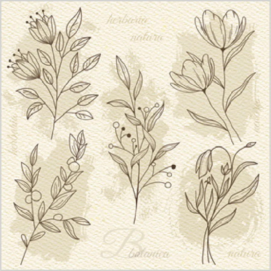 Ilustración de Flores Beige sobre Papel de Acuarela · SD_OG_040001