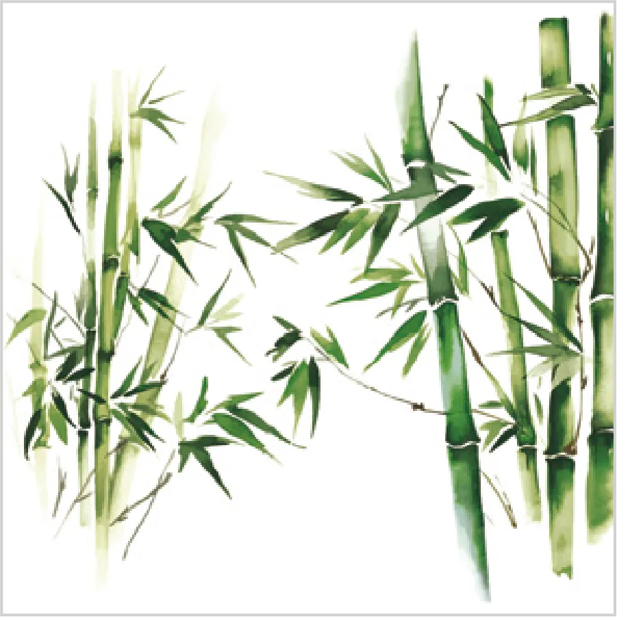 Bambú Verde · SD_OG_044401