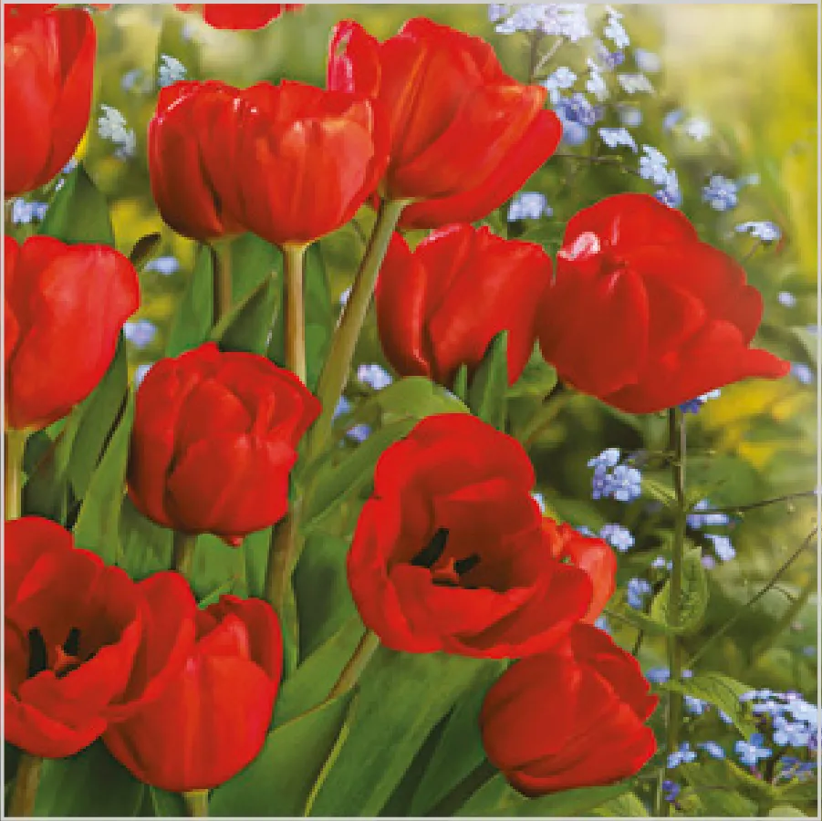 Ramo de Tulipanes Rojos · SD_WI_002601