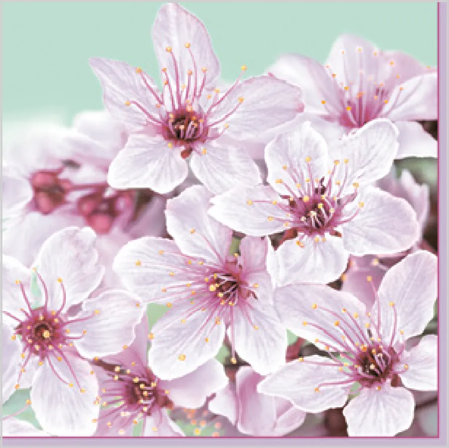 Flor de Cerezo · SD_WI_007301