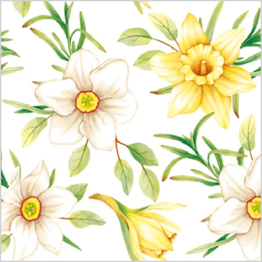 Narcisos en Acuarela · SD_WI_007601