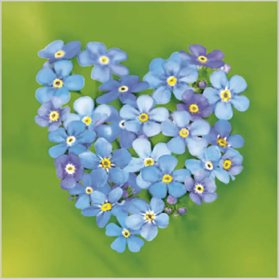 Corazón de Nomeolvides · SD_WI_008501