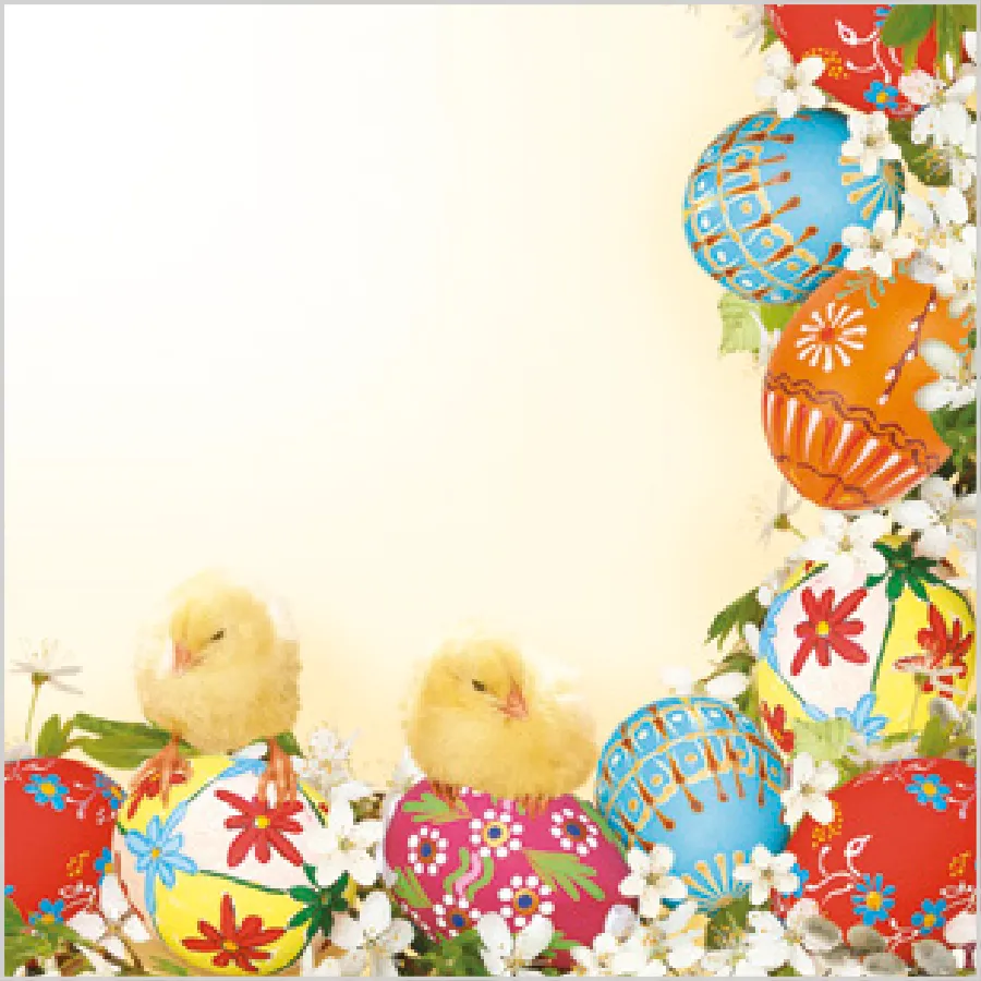 Marco de Huevos y Gallinas · SD_WL_004601