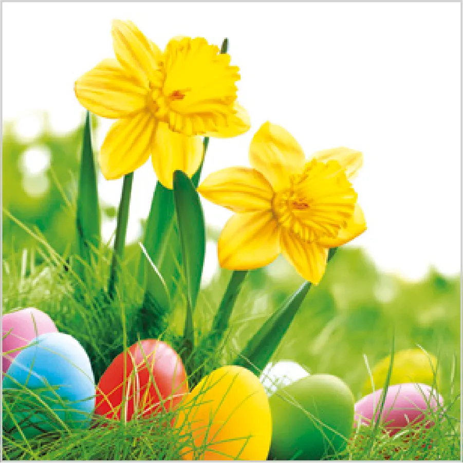 Narcisos con Huevos Multicolores · SD_WL_007101