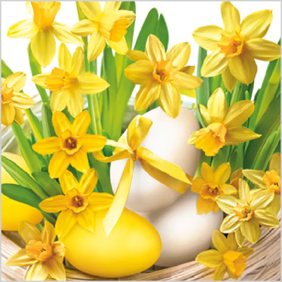 Narcisos Soleados con Huevos · SD_WL_013201